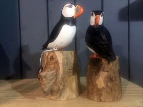 puffins_on_logs