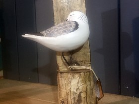 sanderling_post