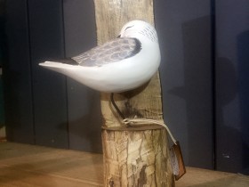 sanderling_post