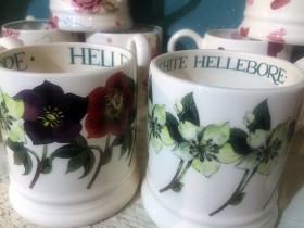 hellebore_mugs