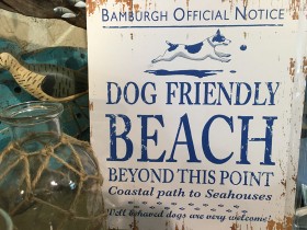 dog_friendly_beach
